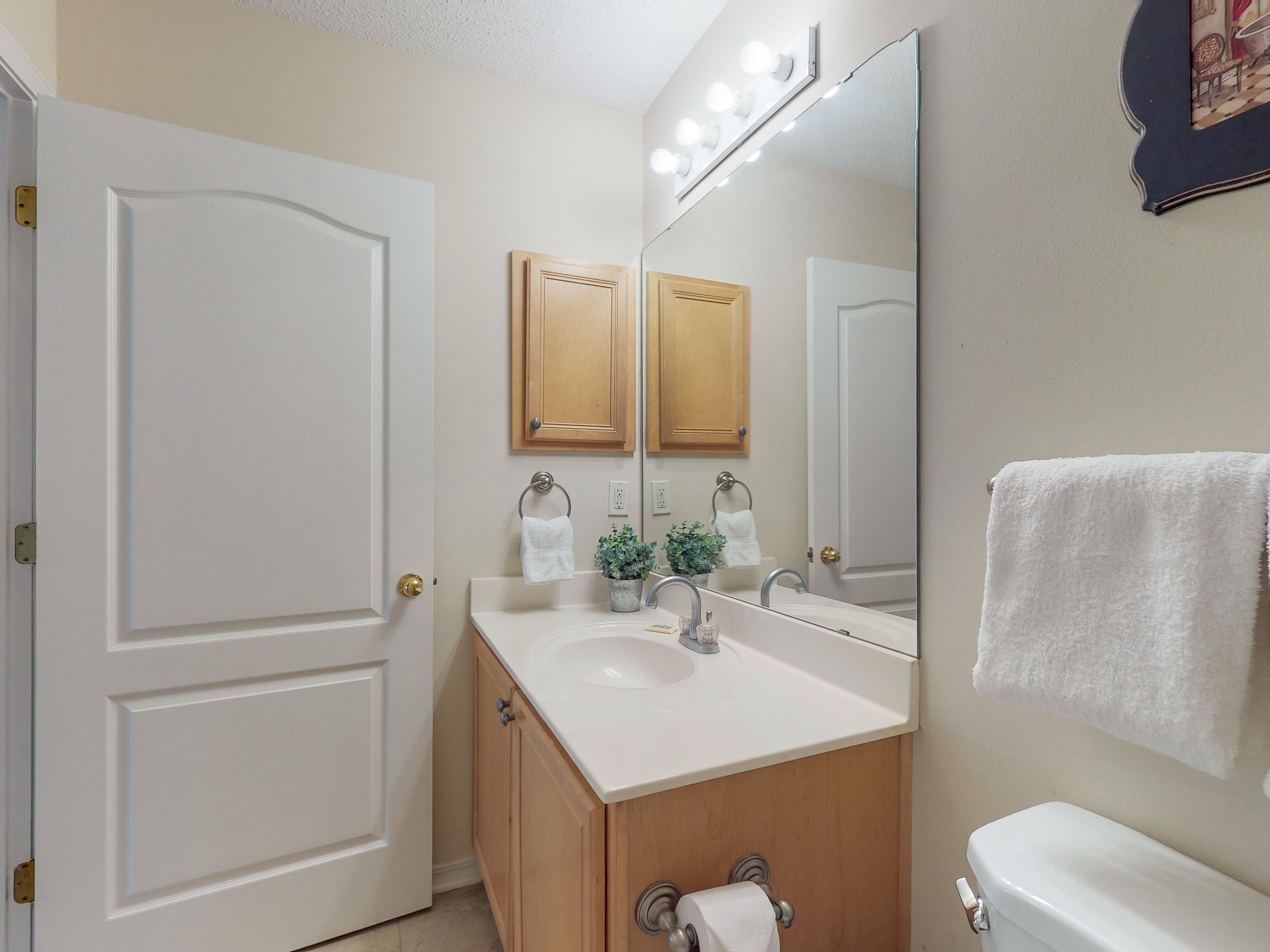 Guest bathroom